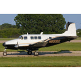 Airplane Design (Gold/Black) - AIR255HL5A65-GB2