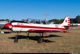 Flyboy Toys Airplane Design (Red) - AIRP1BP1B52-R2