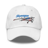 Airplane Embroidered Distressed Cap AIR35JJ180-RG3 - Personalized w/ Your N#