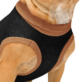Custom Aircraft Knitted Pet Sweater