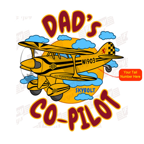 Dad's Co-Pilot Steen Aero Skybolt (Yellow) Airplane Design