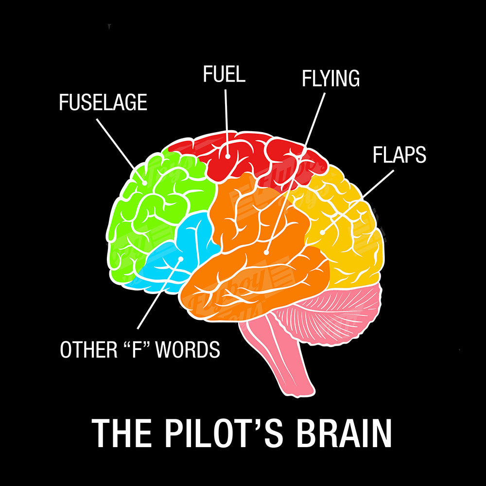 Pilot Brain Airplane Aviation Design