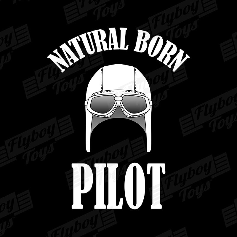 Natural Born Pilot Airplane Aviation Design