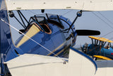 Airplane Design (Yellow/Blue) - AIRN13PD65-YB1