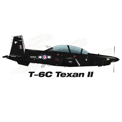 Beech T-6C Texan II