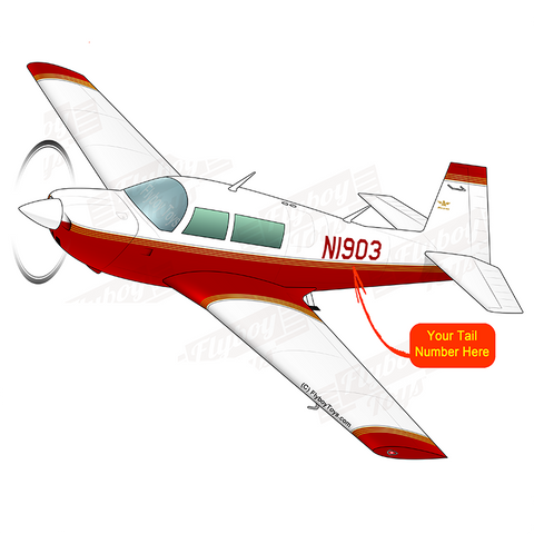 Airplane Design (Red/Gold) - AIRDFFM20K-RG1