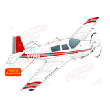 Airplane Design (Red/Silver) - AIRDFFM20J-RS2