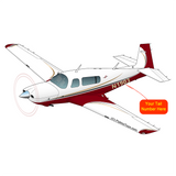 Airplane Design (Maroon) - AIRDFFM20R-M1