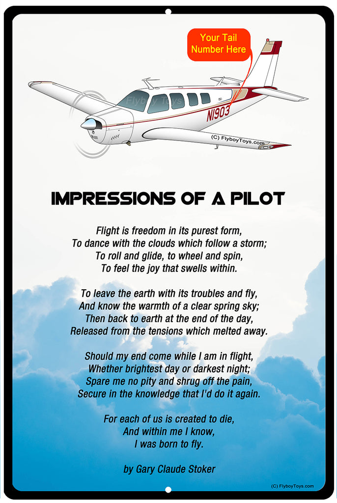 Impressions Airplane Metal Sign - SIGN-IMPRESSIONS-AIR2552FEA36-OR1