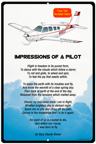 Impressions Airplane Metal Sign - SIGN-IMPRESSIONS-AIR2552FEA36-OR1