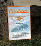 Bellanca Citabria 7KCAB HD Airplane Sign - Orange #2