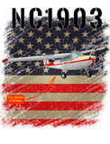 Subdued American Flag Airplane Theme