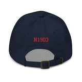 Airplane Embroidered Custom Classic Cap (AIR2552FEG36-RB1) - Add your N#