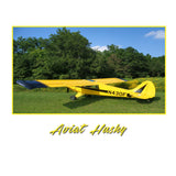 Airplane Design (Yellow/Black#2) - AIR1M98LJ-YB2